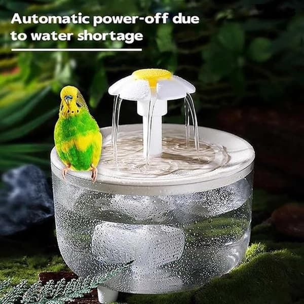 USB Automatisk Fuglebad – Resirkulerende Vann