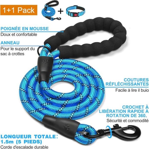 Reflekterende hundehalsbånd, polstret i blødt og åndbart neopren, justerbart i nylon (S, 20-30cm)