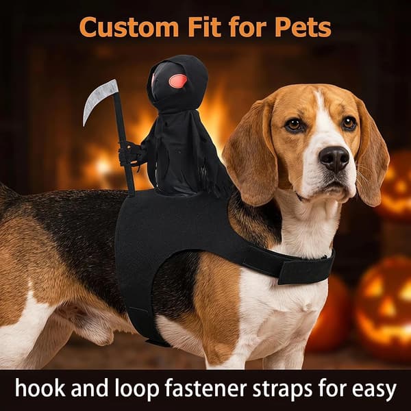 Husdjur Halloween Riddarkostym, Hund Cosplay Outfit för Fest L