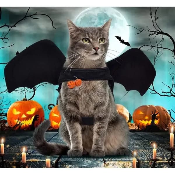 Halloween kæledyrskostume - Hund - Sort