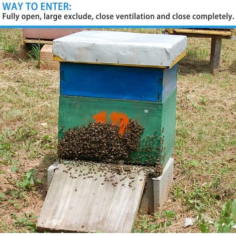 Sæt med 12 bistadeindgangsgitre i rustfrit stål - Sølv