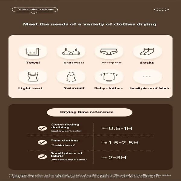 Mini Portable Folding Electric Dryer with Smart Timer for Quick Drying. Home Storage Cabinet with Drying Bag and Winter Accessories.