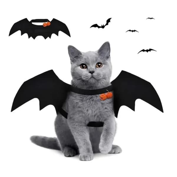 Halloween kæledyrskostume - Hund - Sort