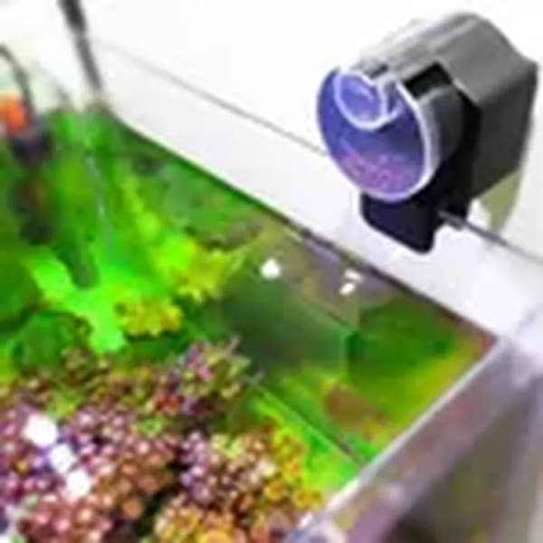 Kompakt Automatisk Fiskefoderautomat Fiskefoderdispenser Foderværktøj - LAT