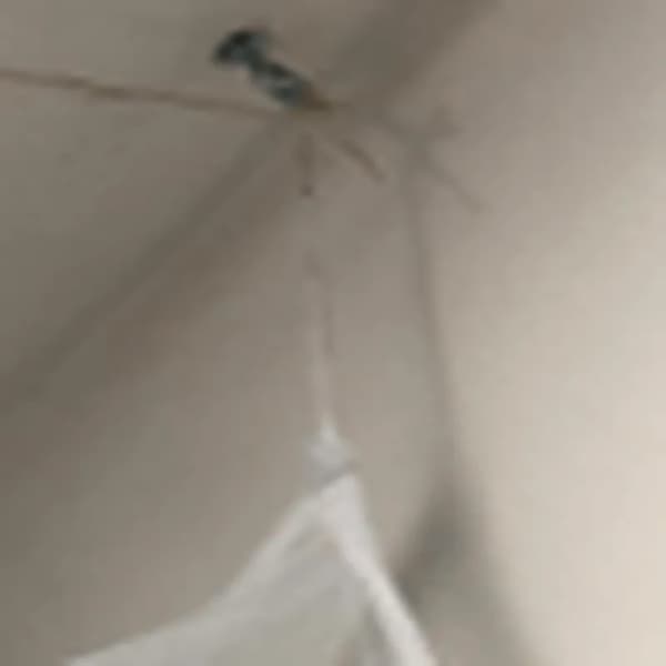 Myggnetting Baldakin - 190x210x240cm - Polyester - Hvit