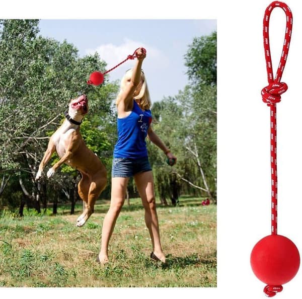 Hundleksaksboll med rep - Gummi - 3 delar - Röd