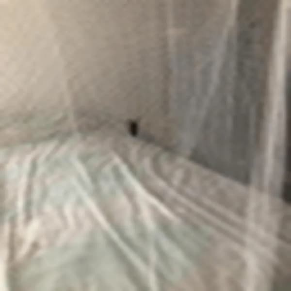 Myggnätsbaldakin - 190x210x240cm - Polyester - Vit