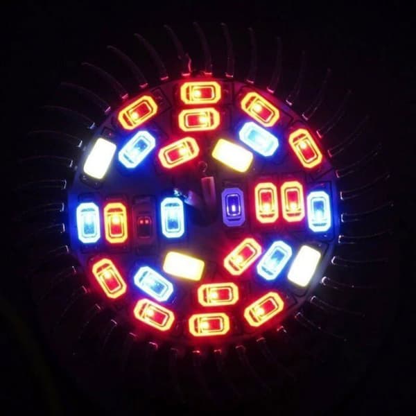 10W E14 Fuld Spektrum Grolys, 28 LED'er til Hydroponisk eller Drivhusdyrkning, Indendørs