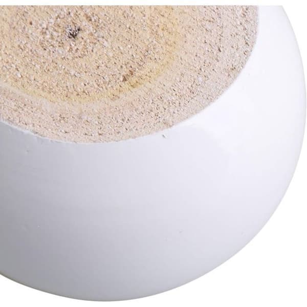 Set med 4 runda vita möbelben i eukalyptus 8 x 8 x 5 cm Stöder upp till 100 kg