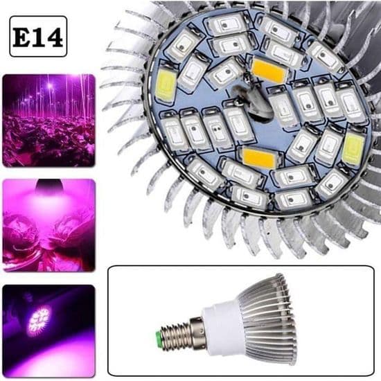 10W E14 Fuld Spektrum Grolys, 28 LED'er til Hydroponisk eller Drivhusdyrkning, Indendørs