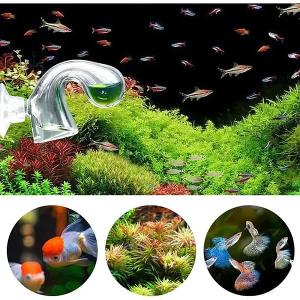 Akvarium CO2-testsæt, 2-delt Drop Checker CO2-testsæt, Akvarium CO2-testsæt, Akvarium CO2-testsæt