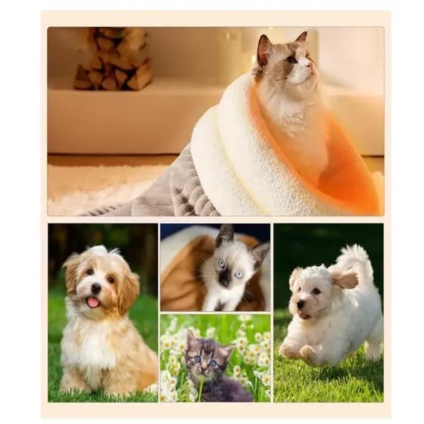 Kattetasche Lille sovepose til katte og hunde Sikker semi-lukket hundeseng Opvarmet katteseng Gemmested (M, grå)