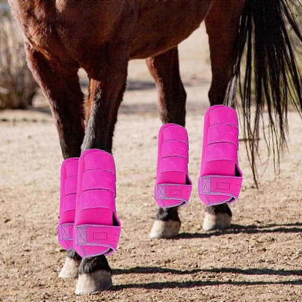 4-pack Hästbenskydd Set Hållbara Hästskydd för Ridträning Rosa M Rose pink M