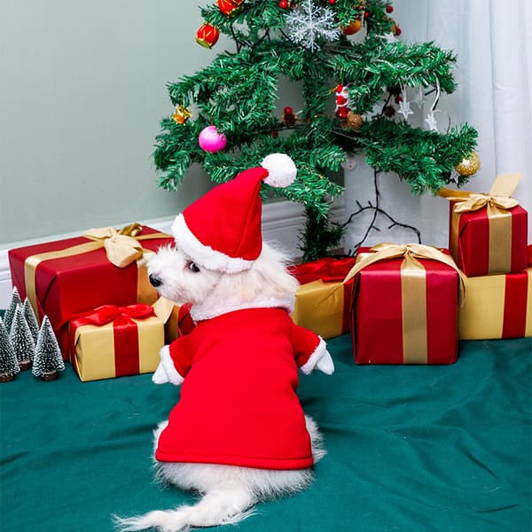 («M» størrelse) Julekostyme for katt, julekjæledyrklær hund katt
