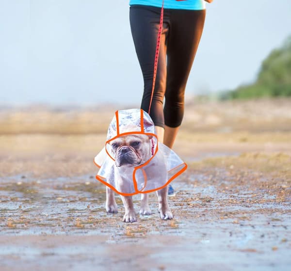 Vanntett og vindtett poncho for hund og valp størrelse M (oransje)