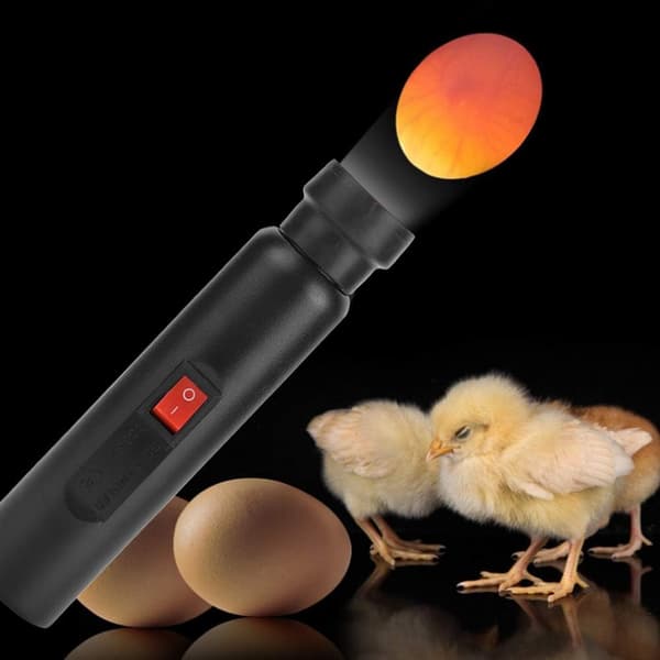Eggelampe, Eggestativ, Eggtester, LED-lampe for å kontrollere egg
