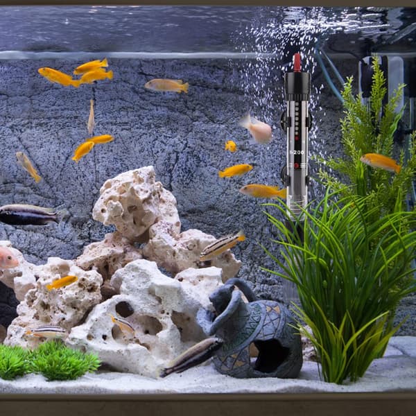 Aquarium Heater - Adjustable Thermostat 50W (220V)