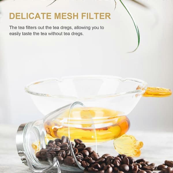 Värmebeständig tesil i glas med finmaskig infuser för löst te