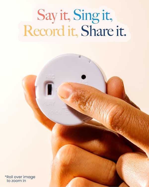 30 Second Voice Recorder (2-Pack) - Record a Personal Message for a Stuffed Animal, Teddy Bear, Doll