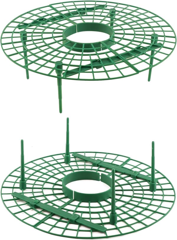10-pack Strawberry Stands, Round Strawberry Supports, Keeps Strawberry Plants Clean-FX-