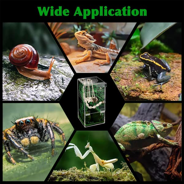 Jumping Spider Enclosure Hammock Kit, Escape-Proof Forest Terrarium