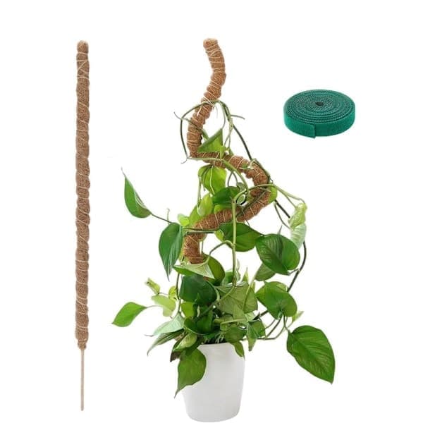 Plant Support / Support Sticks, Bendable Moss Pole 70 - 100cm - Climbing Plant 1/2 - Pack, for Indoor Plants, Ivy and Monstera, Size 70 Cm - 1 Pc 70cm-1 pc 70cm-1 st