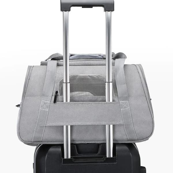 Foldable Pet Carrier