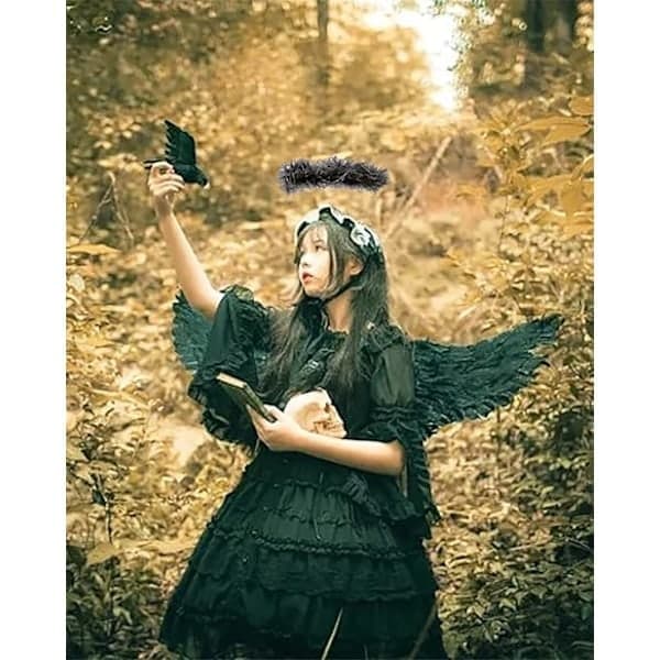 Sorte vinger og glorie Djævlevinger til børn Sorte vingefjer til Halloween