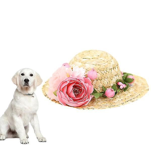 Kat Sombrero Hat Hund Vævet Hat Sombrero Hat Til Hunde