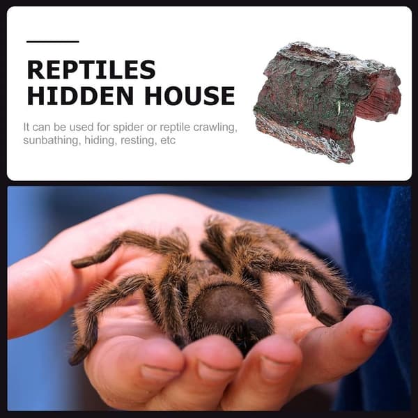 Resin Reptile Hideout for Turtles, Lizards, and Climbing Reptiles - Creative Toy