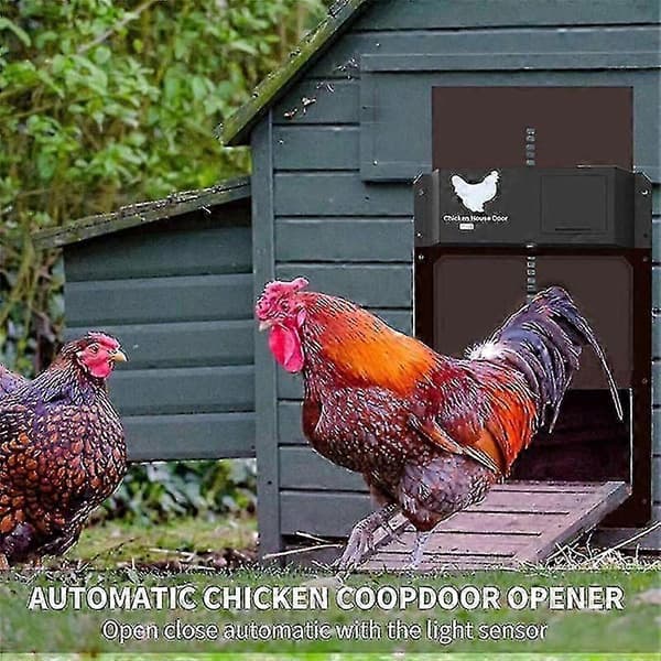 Automatic Chicken Coop Door with Battery, Light Detection, Automatic Chicken Coop Door-FY-