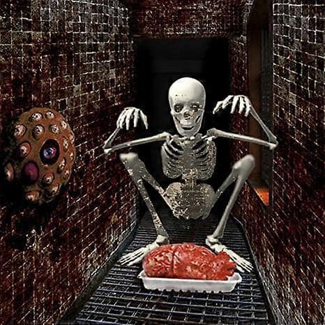 Scary Handmade Halloween Bloody Real Human Internal Organs Props, Heart