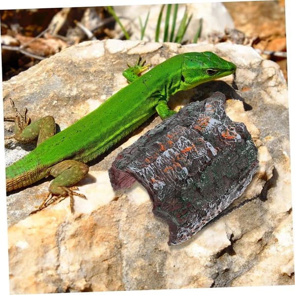 Resin Reptile Hideout for Turtles, Lizards, and Climbing Reptiles - Creative Toy