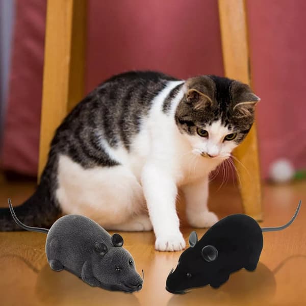 Remote Control Simulated Mouse, Wireless Pet Toy, Suitable for Cats and Dogs, a Novel Gift.