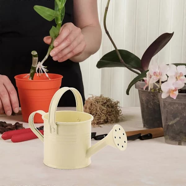 100% New, Mini Iron Watering Can, Spray Bottle, Metal Forging with Handle, Sprinkled Shower Pink
