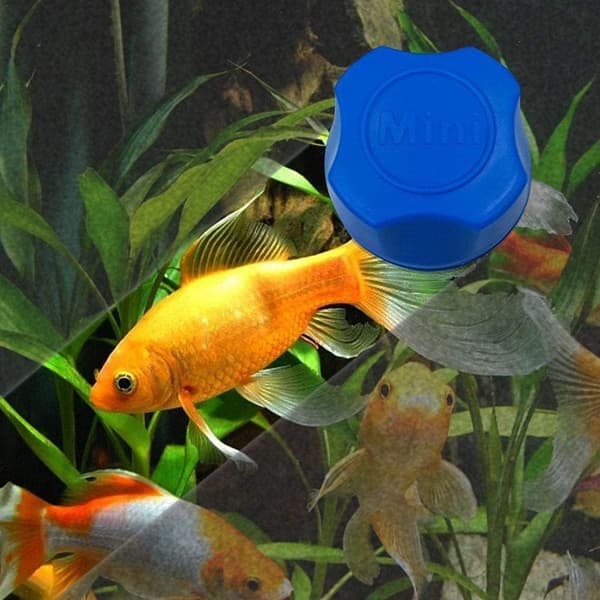 Mini akvarium glas magnetisk rengøringsbørste, algeskraber
