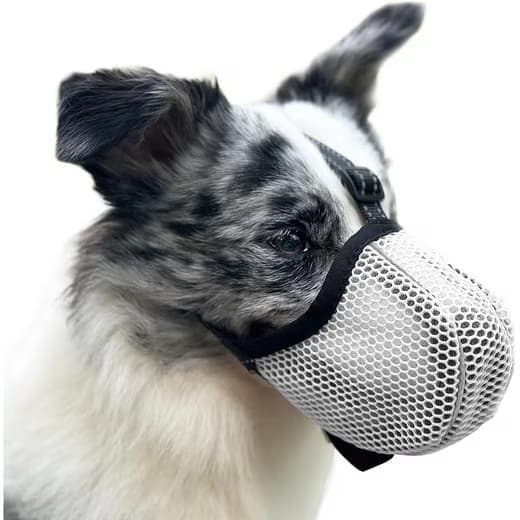 Justerbar hundemunnkurv - Pustende, reflekterende grå S Gray S