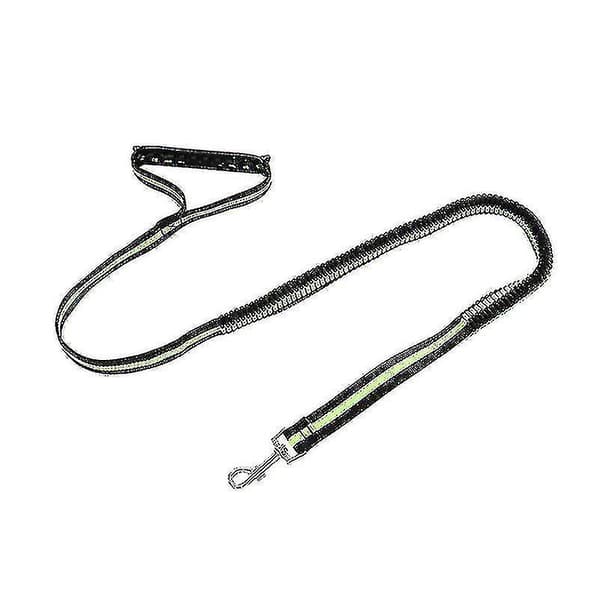Pt Reflekterende kjæledyrbånd Elastisk hundebånd Bungee-bånd for kjæledyr Løping Turgåing Jogging Turgåing (grønn)