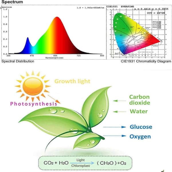 Plant Lighting, IP65 Waterproof, Full Spectrum LED for Optimal Growth and Development, Ideal for Potted Plants Flowers Vegetables Seedlings