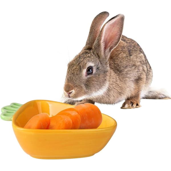 Ceramic Pet Bowl - Carrot - Ceramic Bowl for Hamster, Guinea Pig, Rat, Rabbit