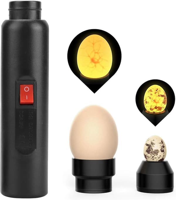 Eggelampe, Eggestativ, Eggtester, LED-lampe for å kontrollere egg