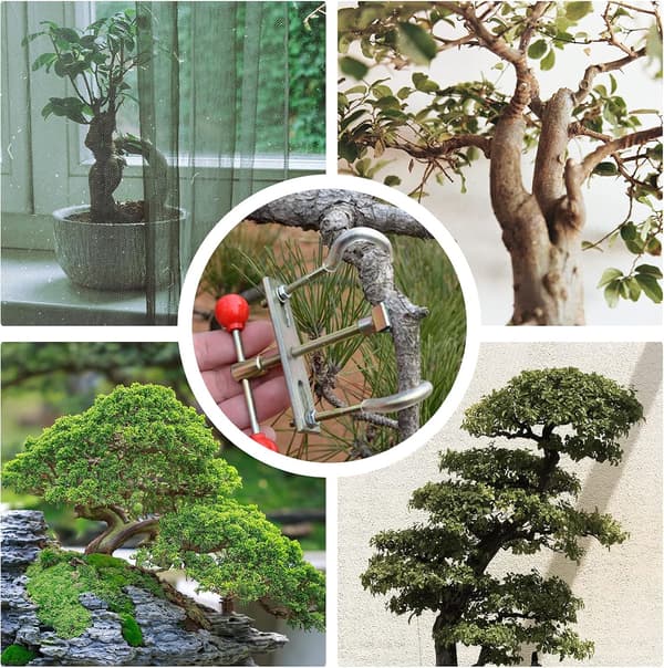 Bonsai Plant Branch Bending Tool