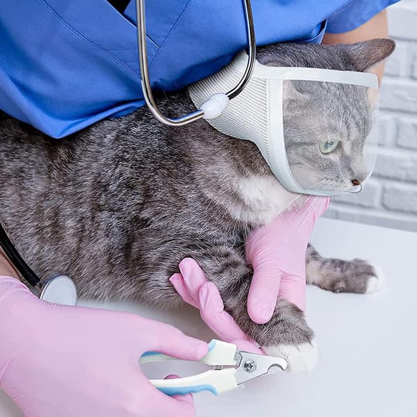 Pet Muzzle Anti-bite Adjustable Breathable Anti-scratch Small Pet Transparent Grooming Muzzle Cat Su S S