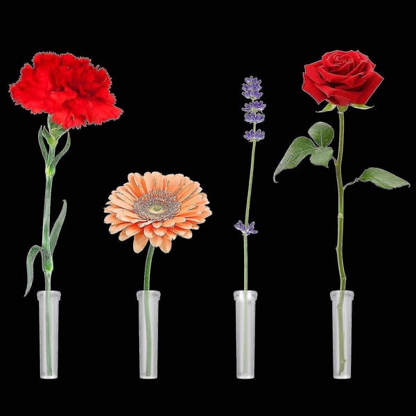 Paket med 100 Blomrör, Blomvattenrör med Lock, Återanvändbara och Hållbara Provrör för Blommor, 7 cm, Transparent