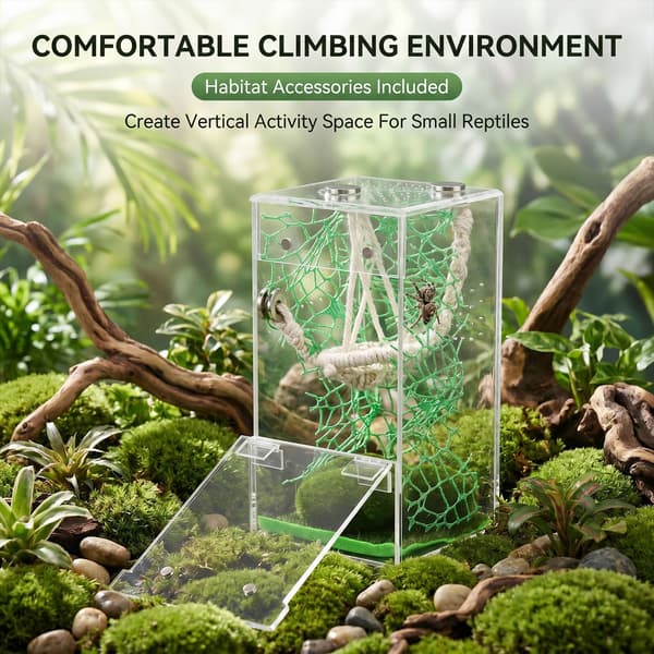 Jumping Spider Enclosure Hammock Kit, Escape-Proof Forest Terrarium