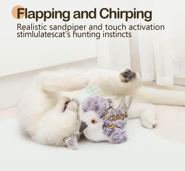 Realistic Plover Sound, Touch-Activated Interactive Cat Toy, Suitable for Indoor Cats (Cannot Fly).