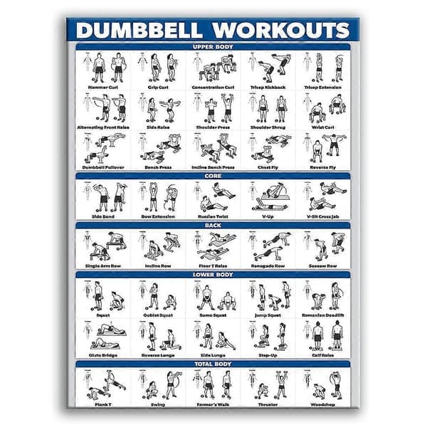 Laminated Workout Board for Dumbbell Training, Free Weights, Bodybuilding Style 7