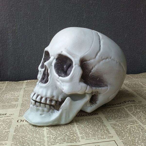 Halloween Kunstig Kranie Hoved Model Kranie Knogle Horror Skelet F 4.5*4.5*6cm