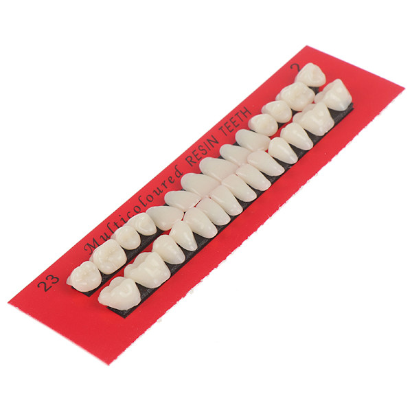 28-delad akrylhartsprotes övre och nedre nyans 23# A2 Dental one size