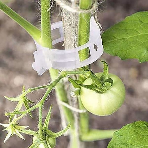 100 stk. sikre plastklips, støtteklips, hageklips for planter 100pcs